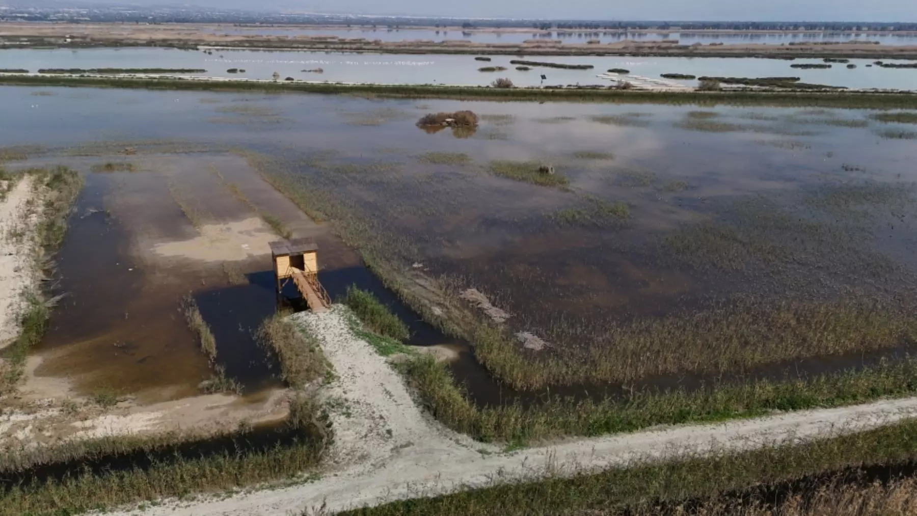 El Espigar: Nuevo Santuario de Aves en Alicante para la Conservación de Especies Protegidas