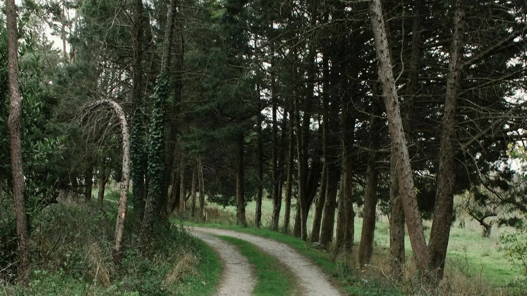 Explorando la Biodiversidad Navarra: Rutas Guiadas Gratuitas en Primavera 2026