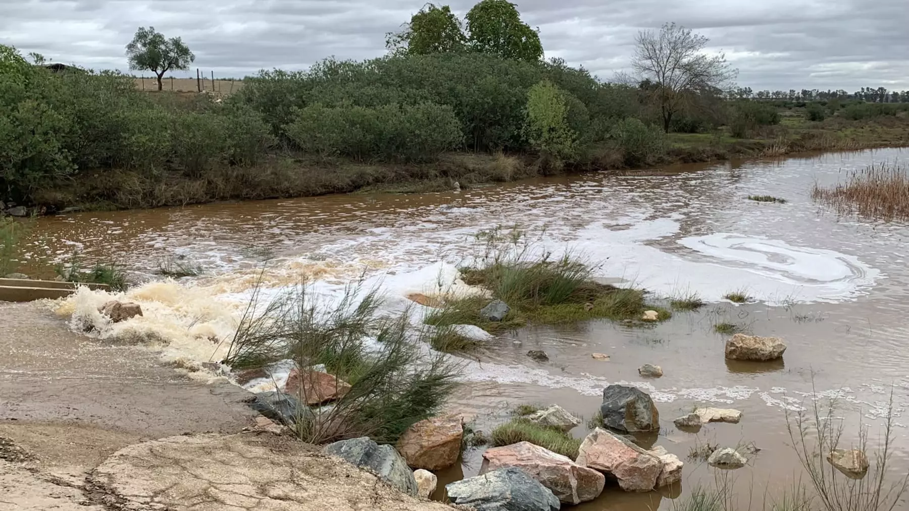Ecologistas alertan: Intereses Agrícolas y Mineros Amenazan la Recuperación del Río Guadiamar en Doñana