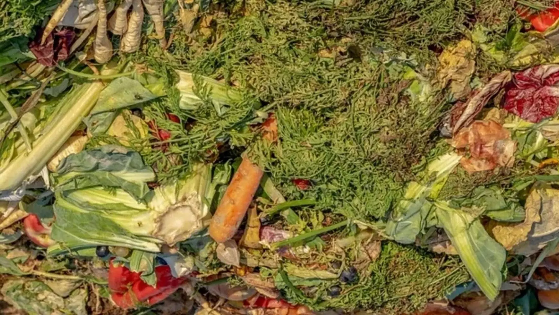 Transformación Innovadora: Residuos Hortofrutícolas en Valencia Generan Productos Sostenibles