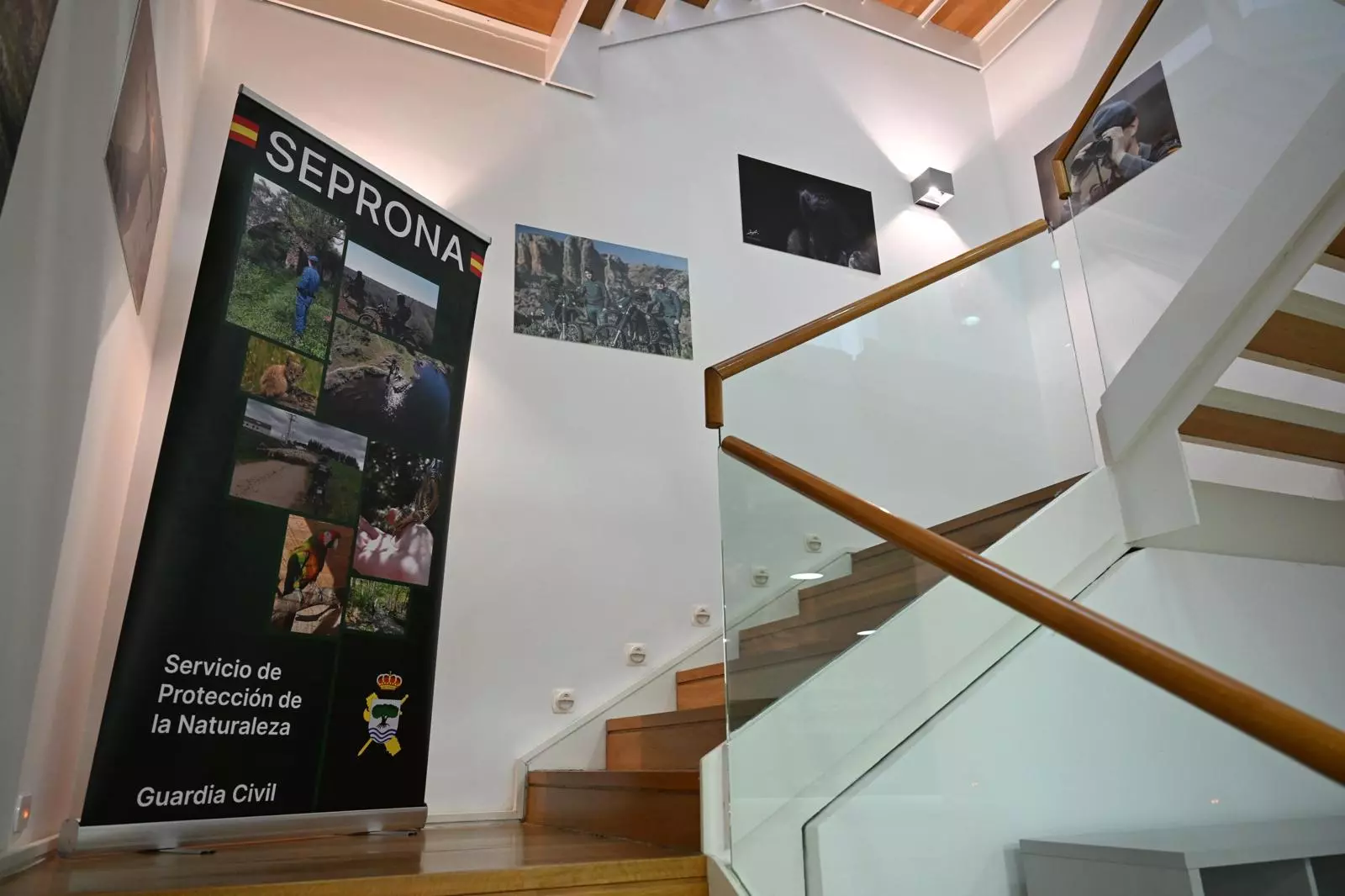 La Guardia Civil de España inaugura un centro especializado en la lucha contra crímenes ambientales