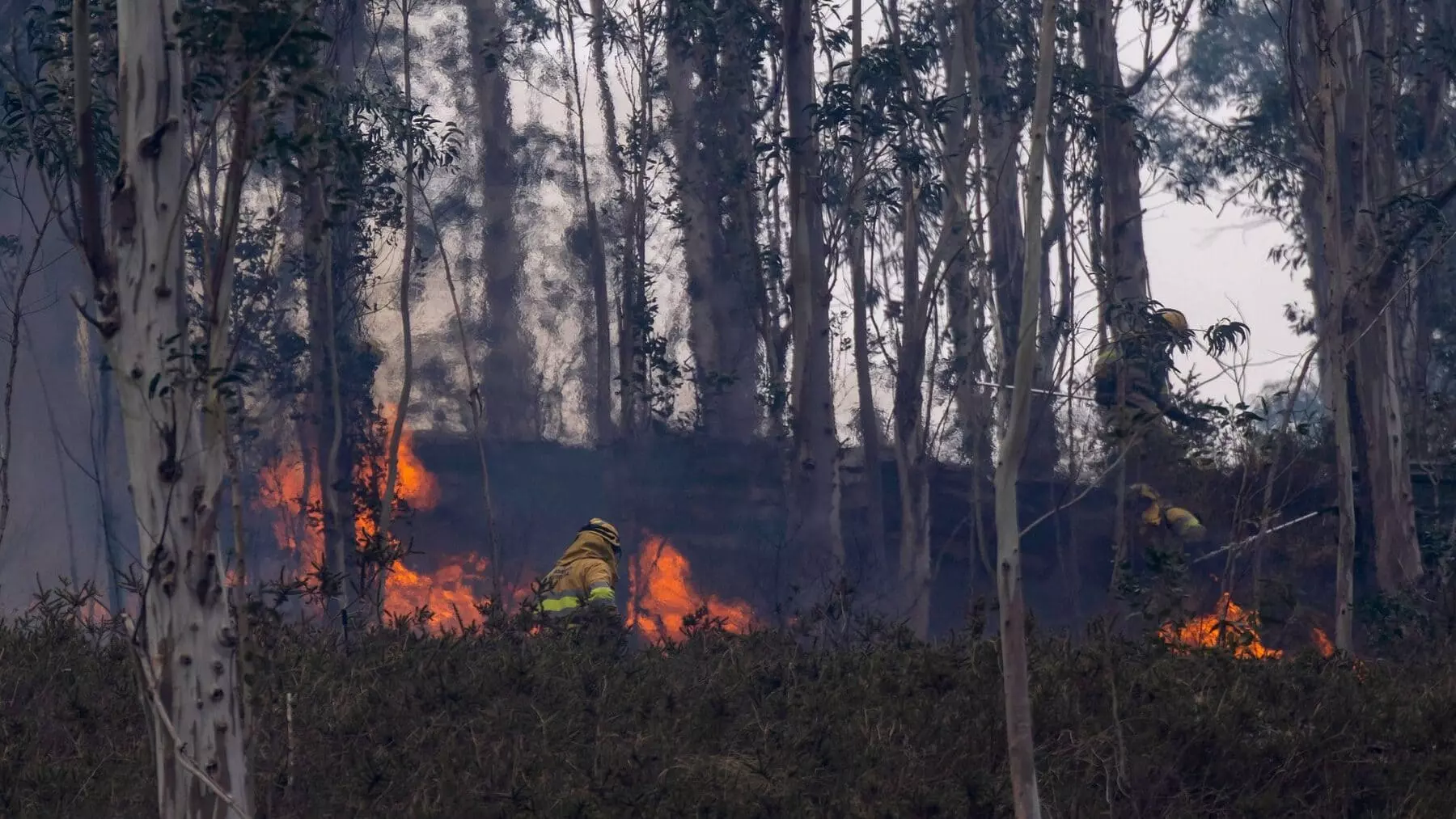 Cantabria Bajo Asedio: 26 Incendios Forestales Activos y Riesgo Extremo Persisten Pese a Lluvias