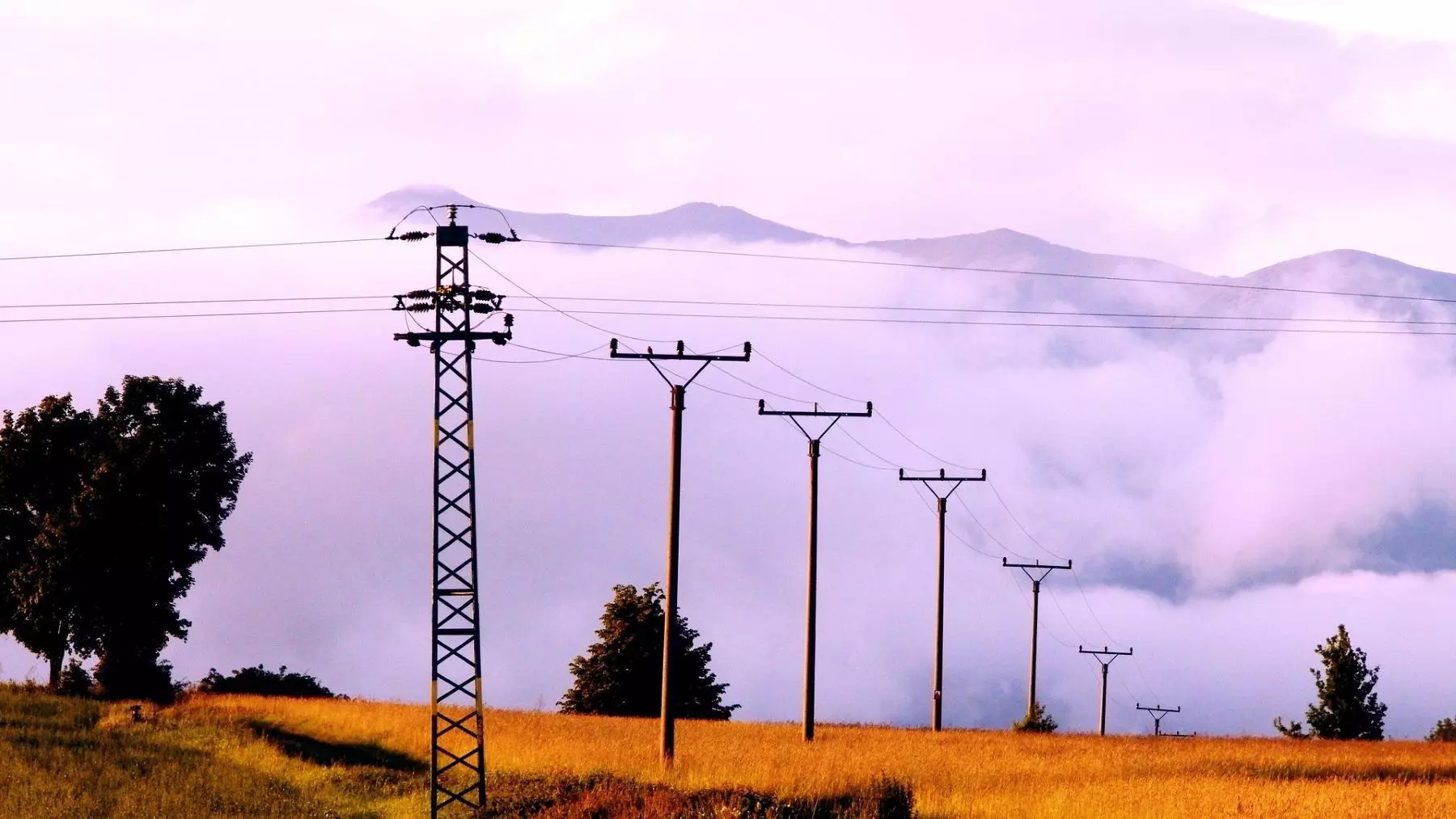 Extremadura: Impulso a la Biodiversidad Agraria y el Auge de la Recarga Eléctrica en Zonas Rurales