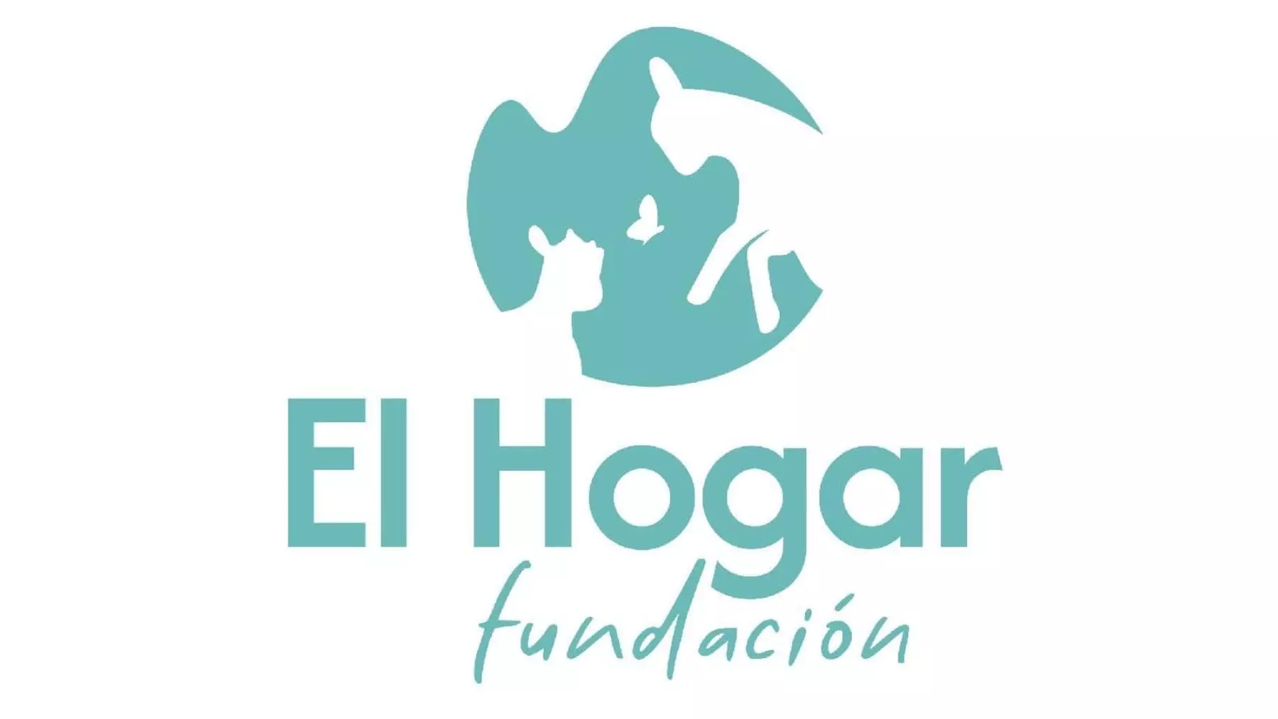 Voluntariado transformador en un santuario animal en Barcelona