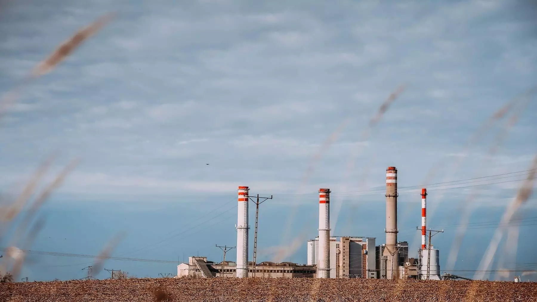 Empresas cotizadas de la UE: Poca Transparencia Ambiental y Gran Brecha de Información