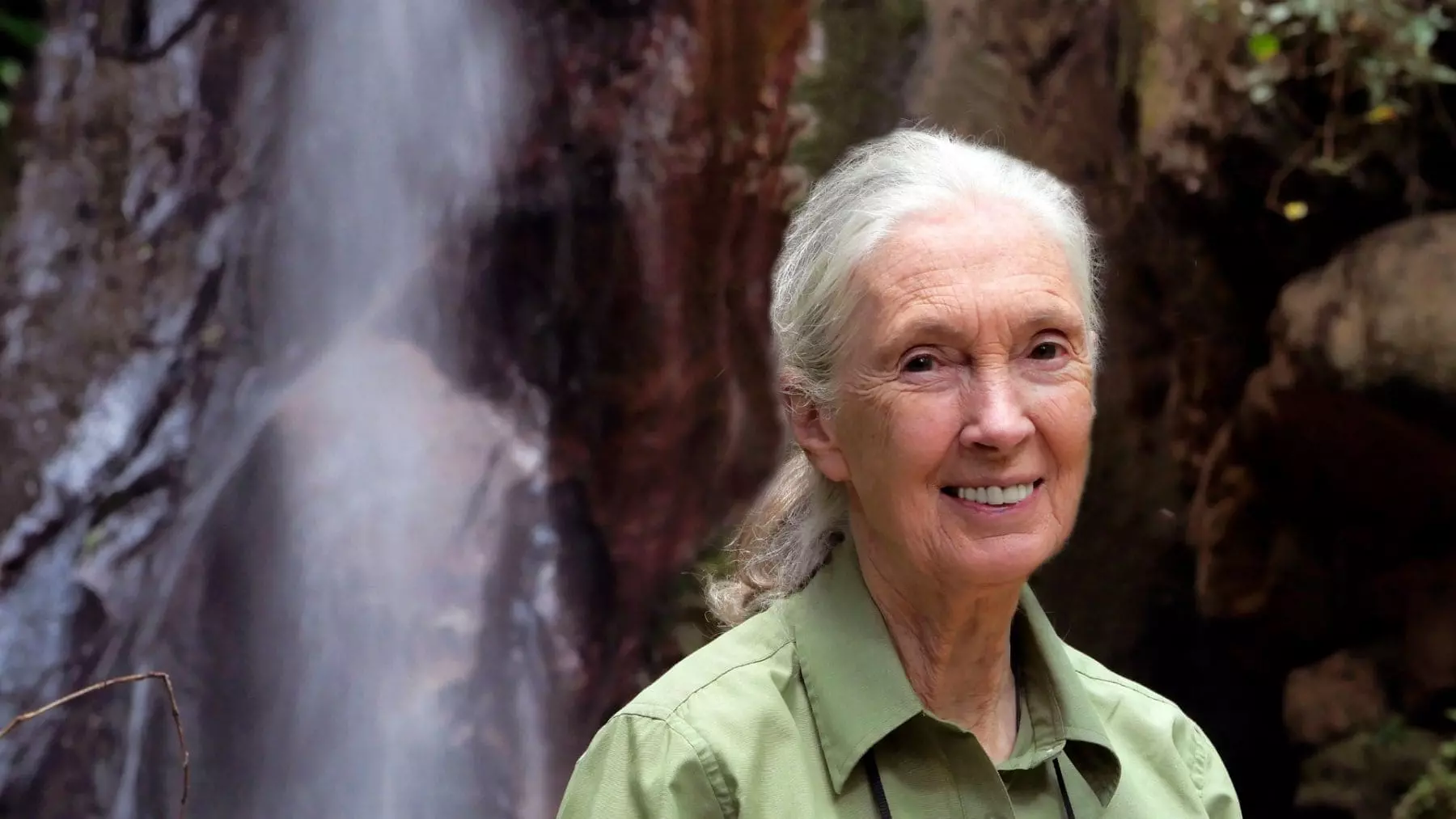 El Legado de Jane Goodall: Impacto de nuestras acciones en el medio ambiente