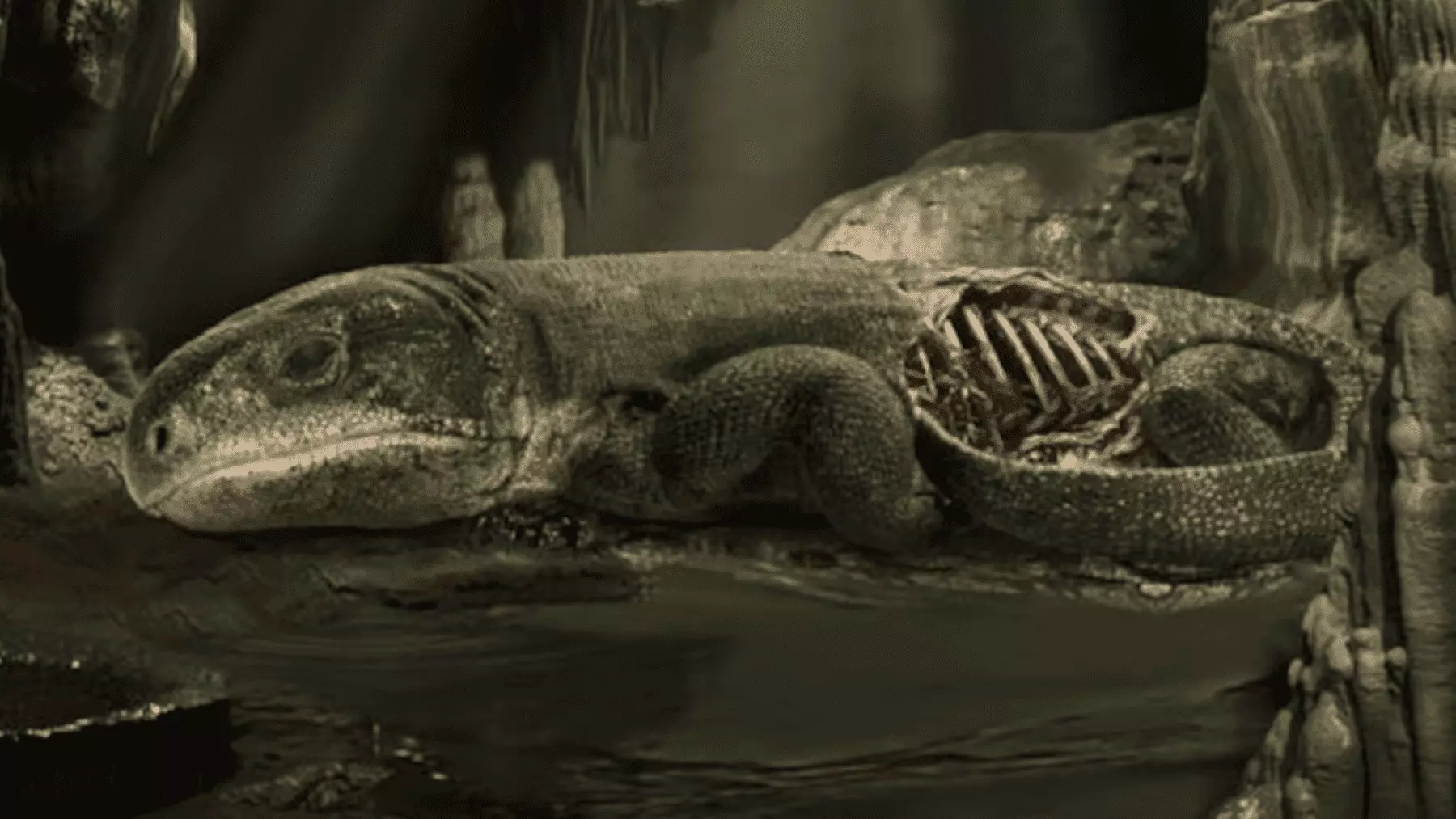 Descubren el sistema respiratorio más antiguo en un fósil de hace 289 millones de años que cambia la historia de la evolución