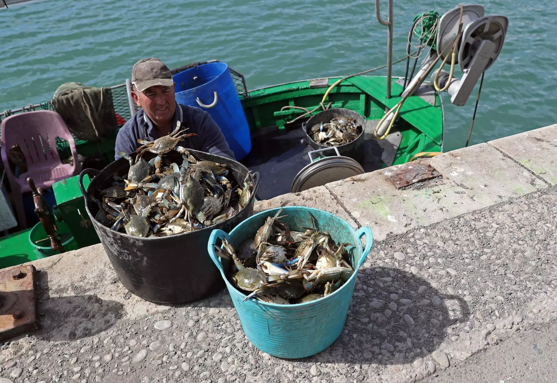 La ciencia advierte sobre la ineficacia de consumir especies invasoras como estrategia de control