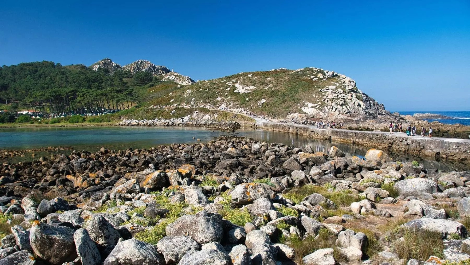 Un plan ambicioso para la conservación en Galicia: erradicación de especies exóticas en las islas Cíes y Corrubedo