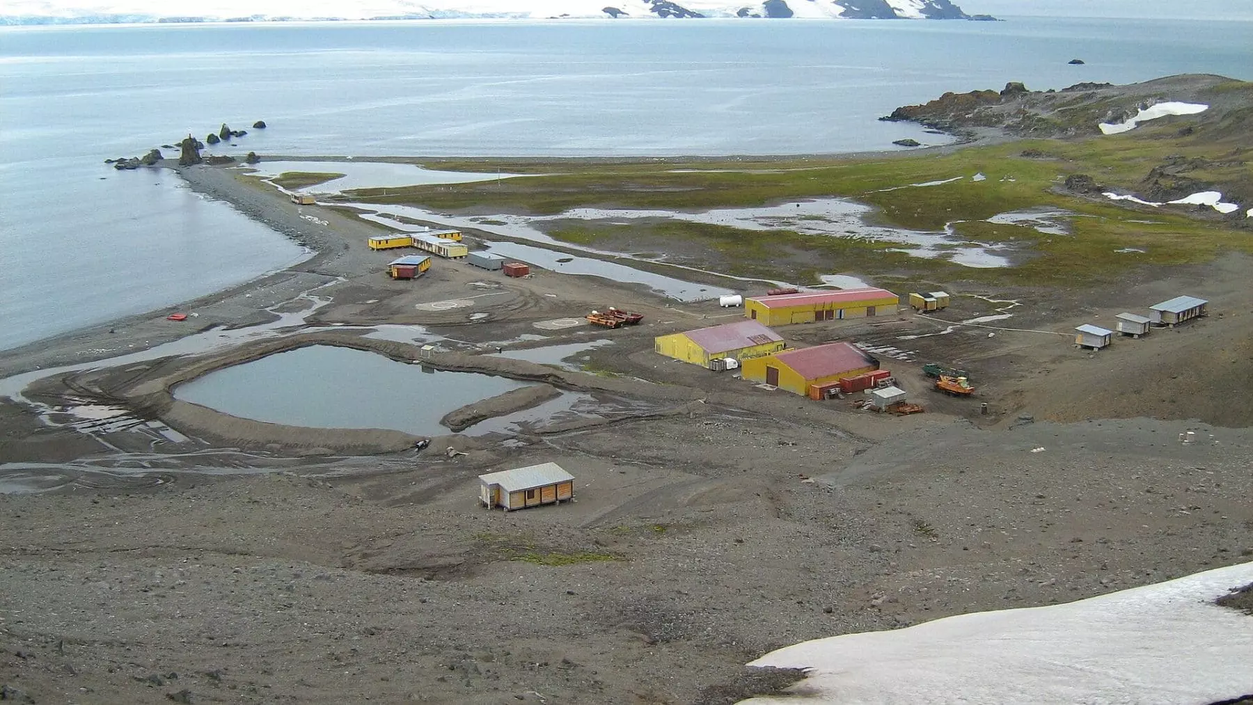 Descubrimiento Asombroso en la Antártida: Científicos Rusos Revelan un Oasis Escondido con Lagos y Vida Animal