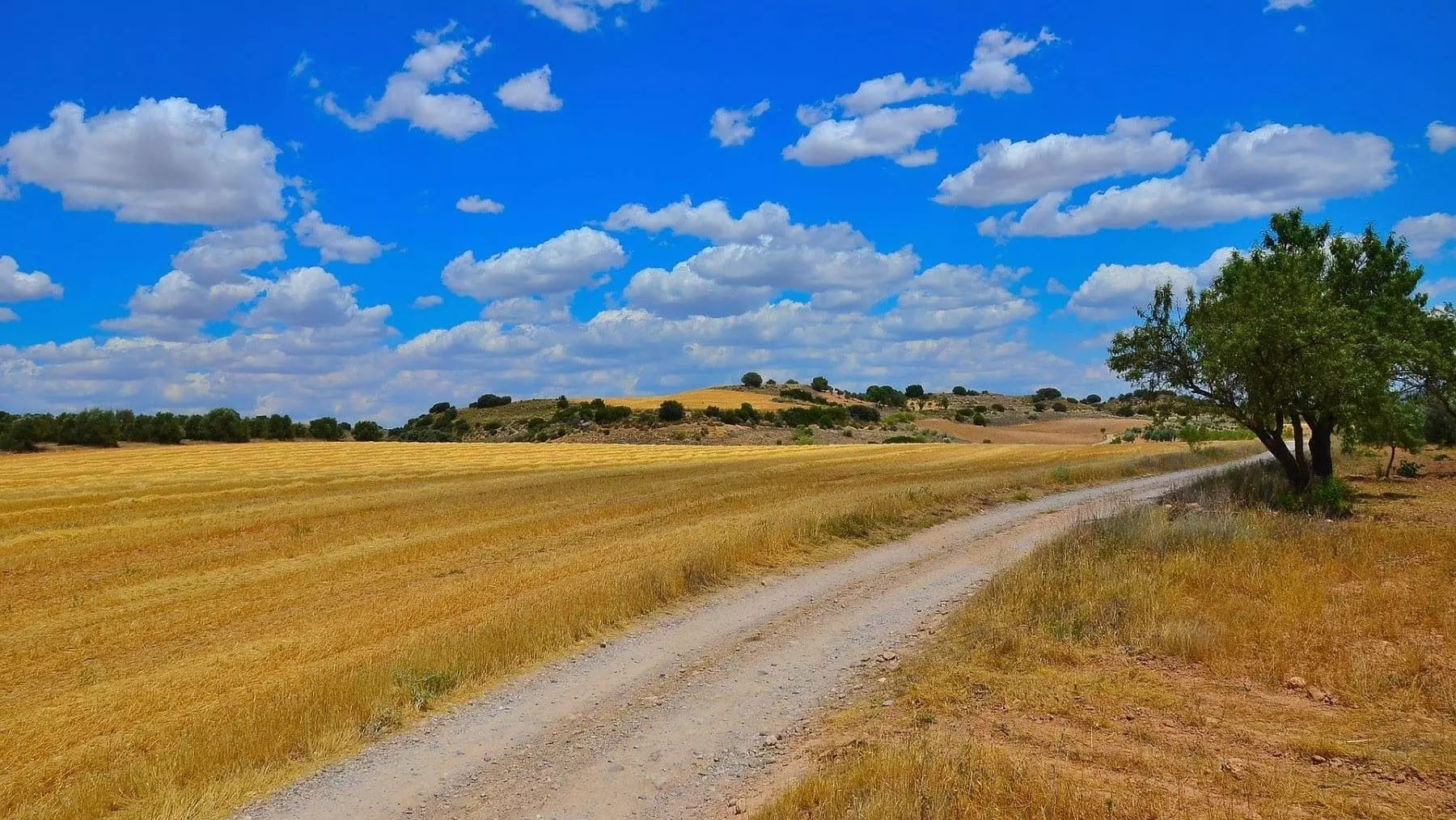El MITECO respalda un plan de 5 millones para revitalizar 25 municipios rurales de Castilla-La Mancha