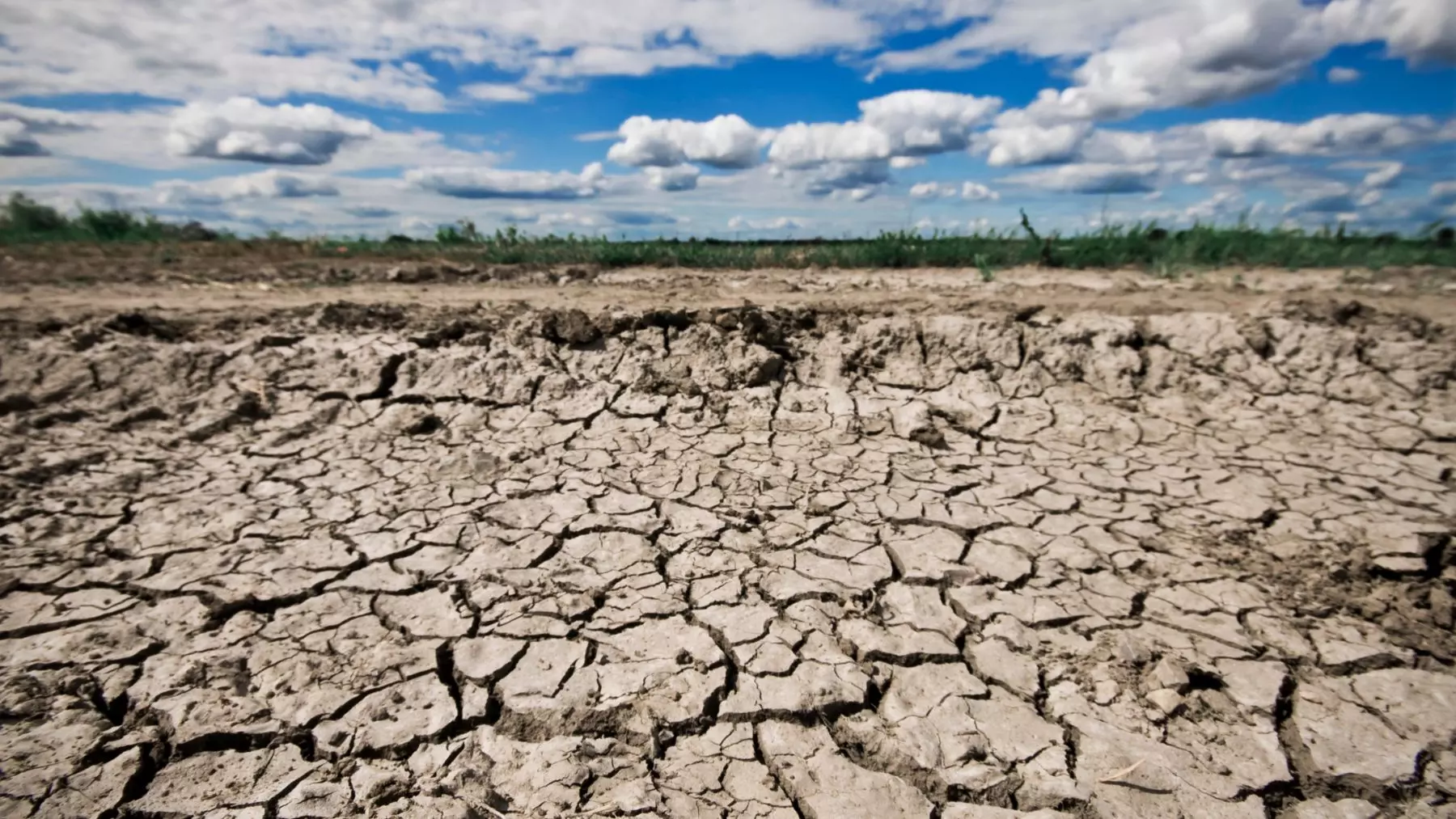 La Sostenibilidad Terrestre en Cuestión: Un Análisis Científico sobre el Consumo de Recursos y el Futuro de la Vida