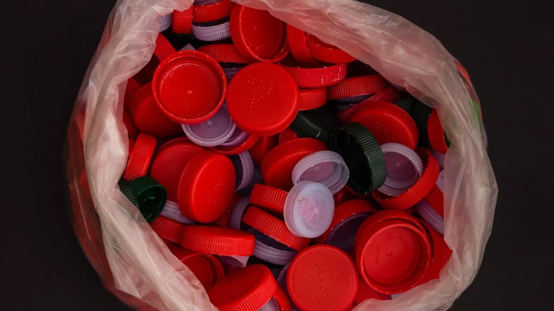 La Industria del Plástico en España: Desafíos y Percepciones en el Camino hacia la Sostenibilidad