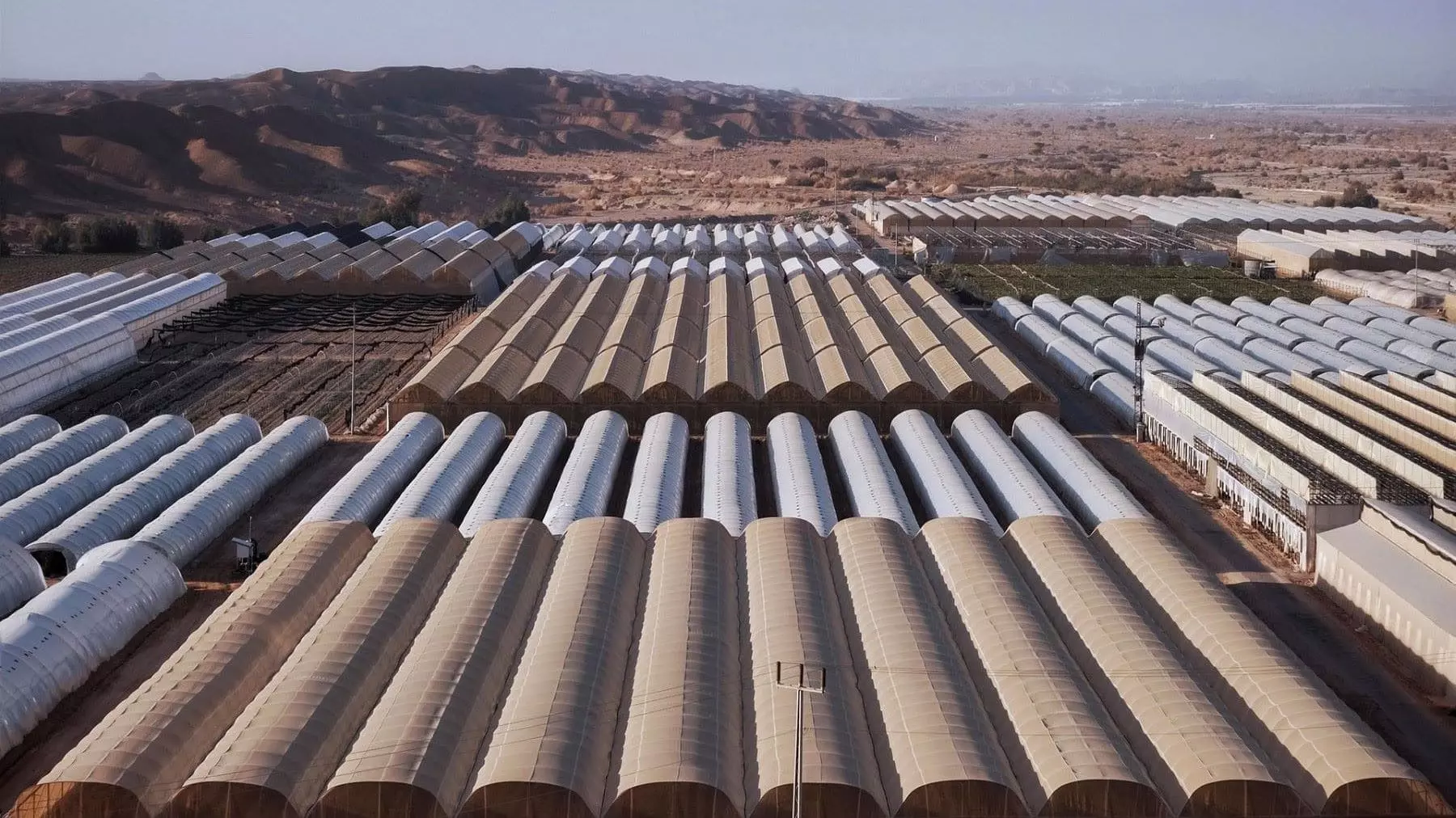 El Proyecto NutriLoop Demuestra la Viabilidad del Agua Regenerada para el Riego Agrícola Frente a la Escasez Hídrica