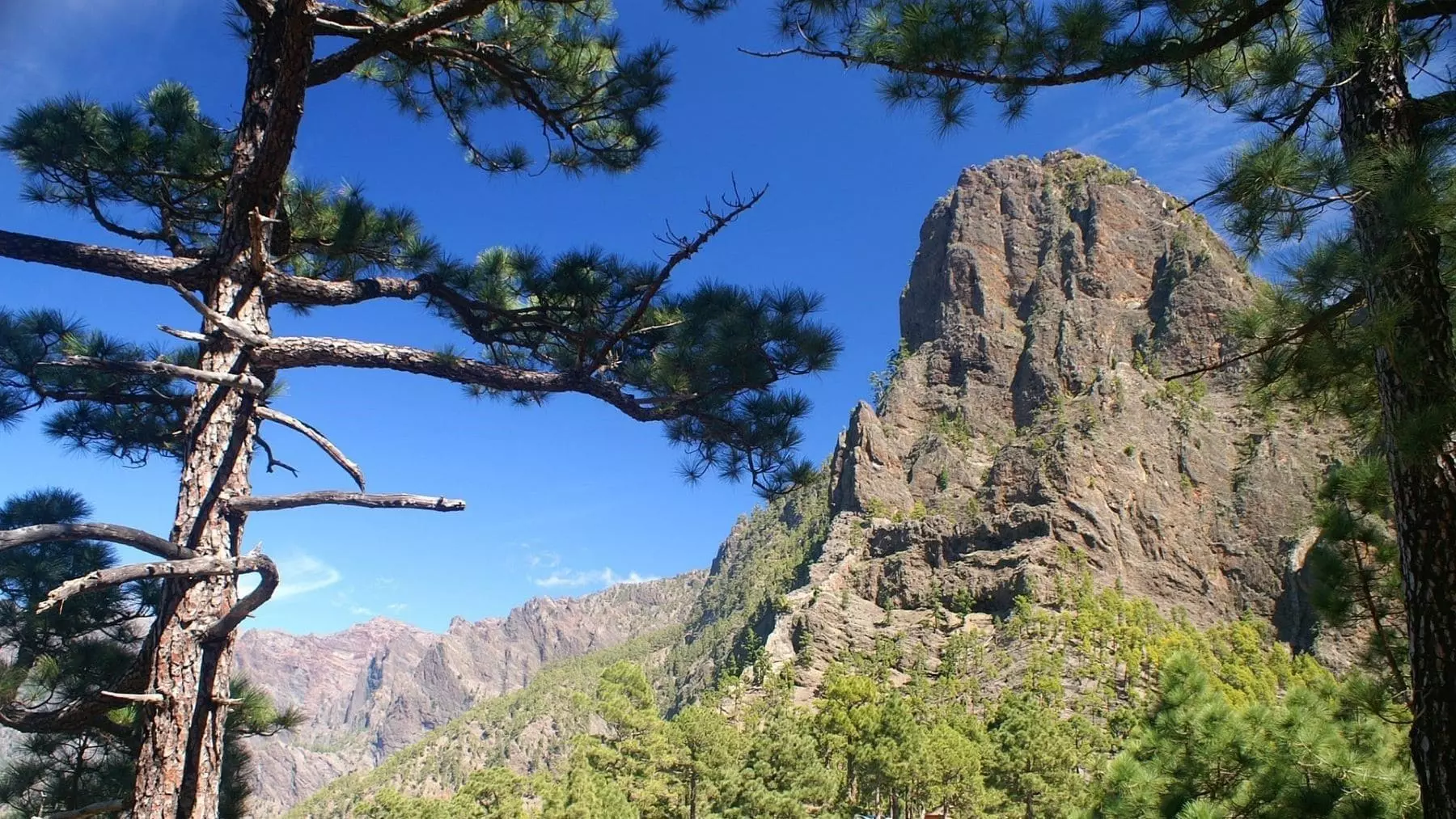 Las Islas Canarias Reinician Ley de Biodiversidad con Urgencia para Protección Integral de sus Recursos Naturales