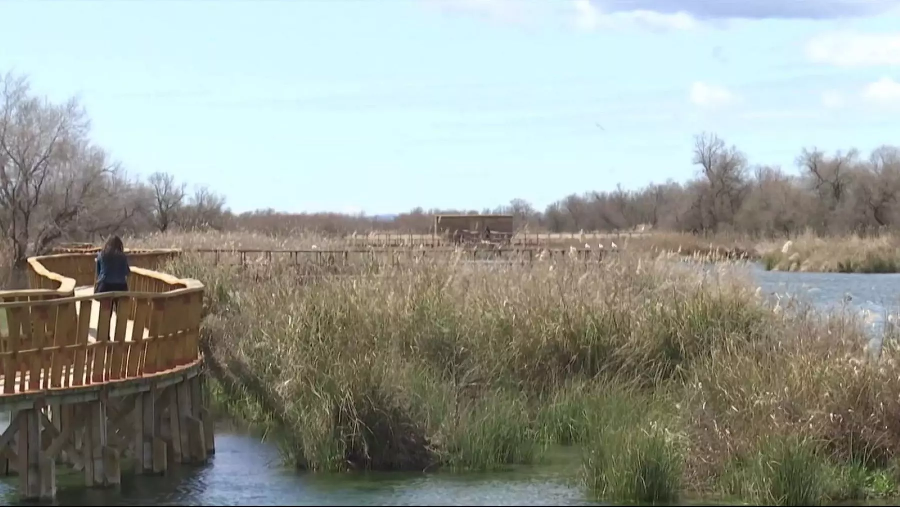 Doñana: Un Plan de Restauración Transforma las Marismas y Protege la Biodiversidad