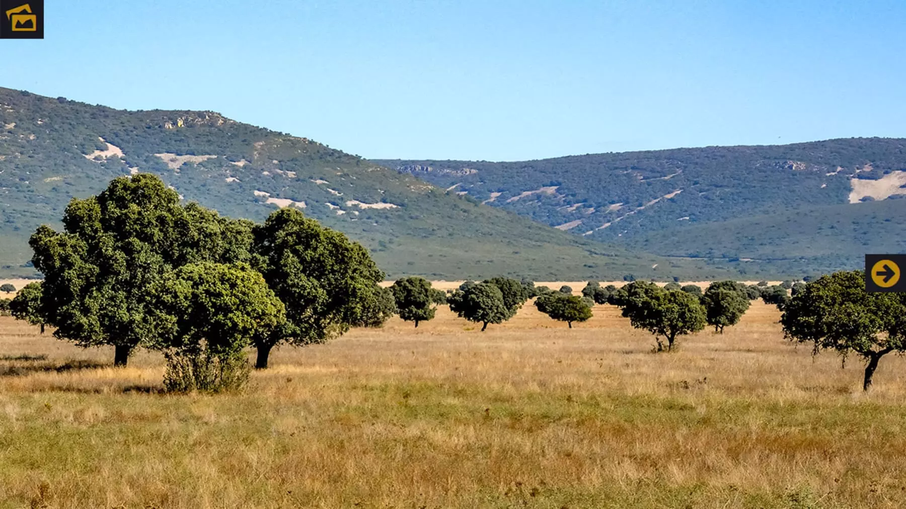 Inversión millonaria para fortalecer la conservación del Parque Nacional de Cabañeros