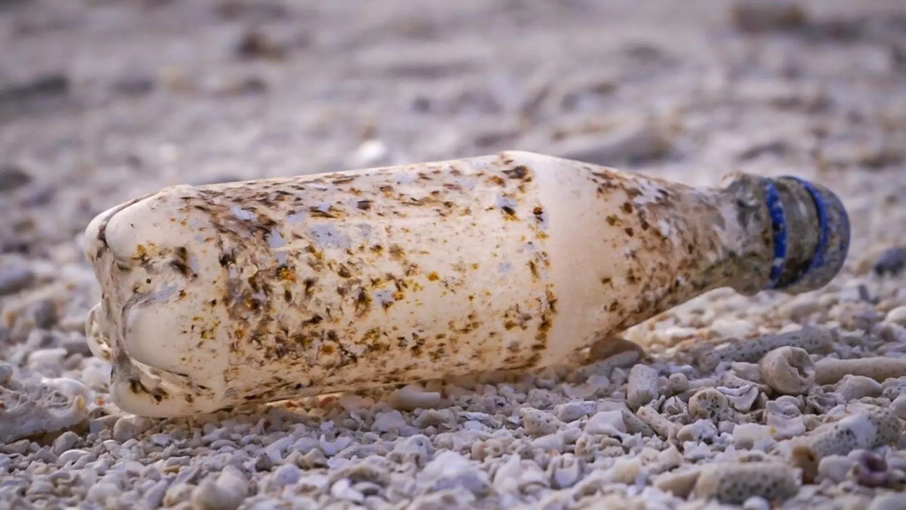 Microorganismos Demuestran Capacidad Generalizada para Degradación de Plásticos