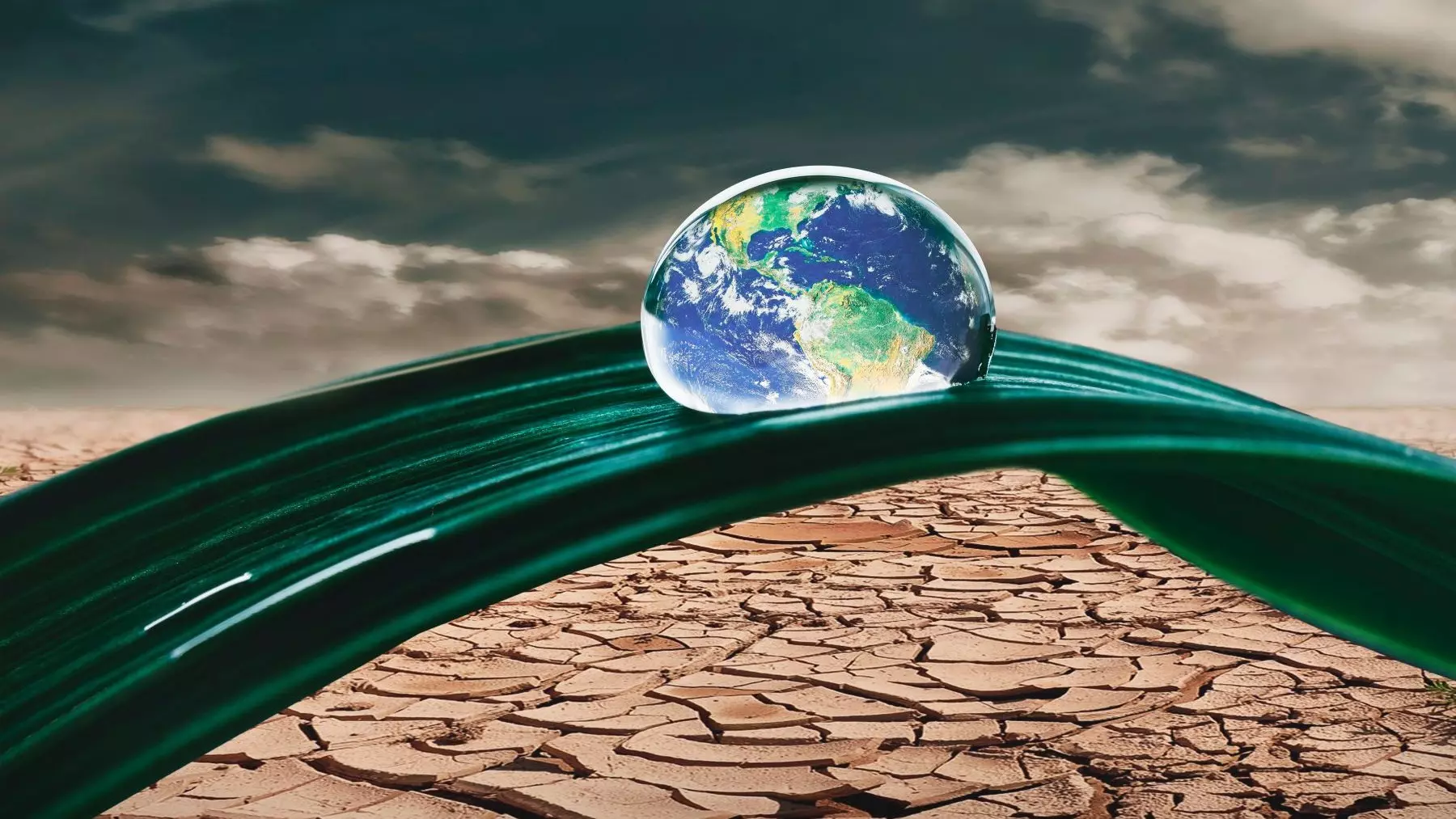 ClientEarth: Un faro legal ante la encrucijada climática y de biodiversidad