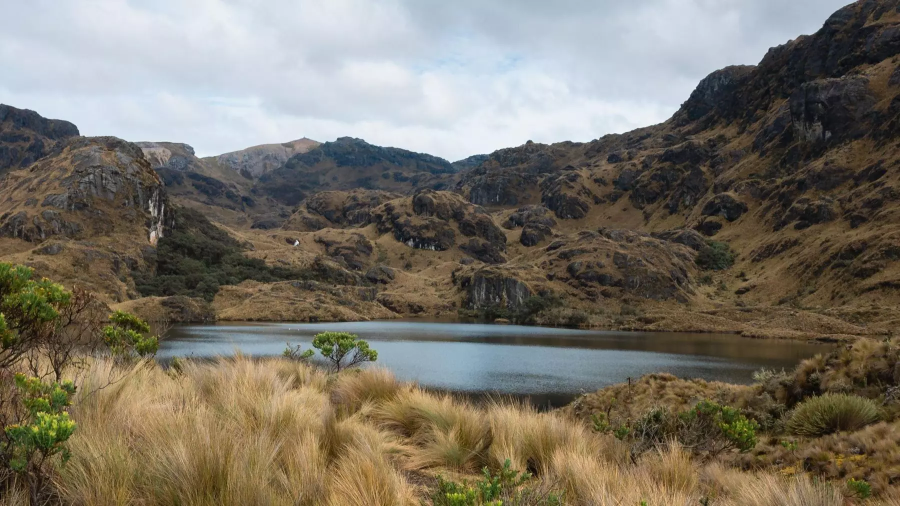La alarmante disminución del 22% de las lagunas temporales en España: Impacto del cambio climático y la agricultura en dos décadas