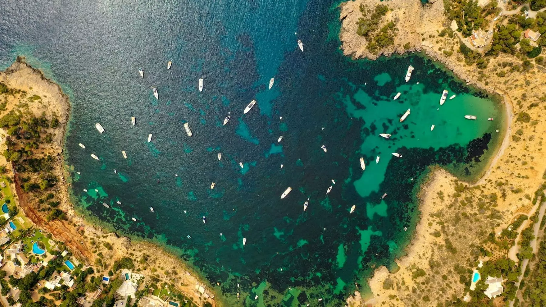 SOS Costa Brava Lanza Alerta Crítica por el Colapso de la Posidonia en la Costa Gerundense