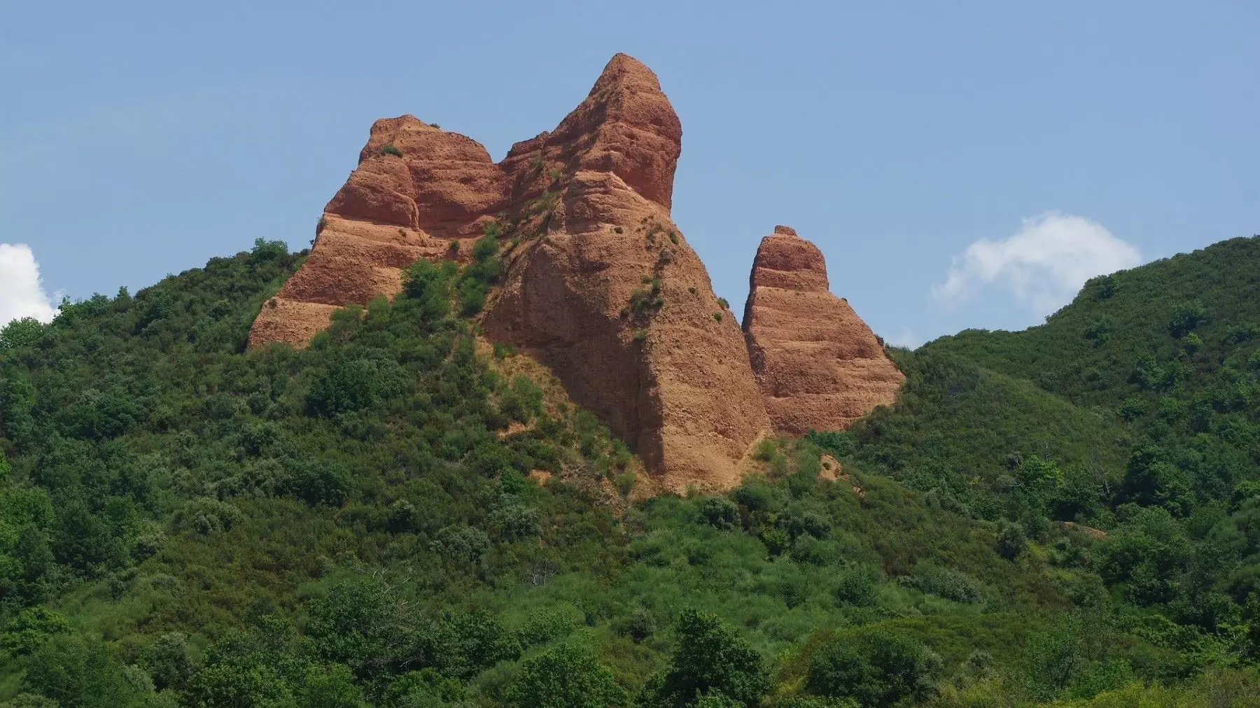 El Bierzo: Laboratorio Natural contra Plagas y Crisis Climática Forestal