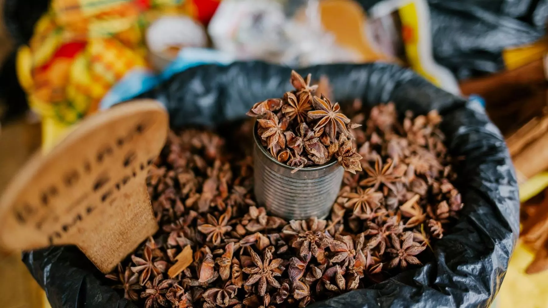 Nuevas Variedades de Anís Prometen Revolucionar la Agricultura Española: Más Productividad y Calidad de Aceite Esencial
