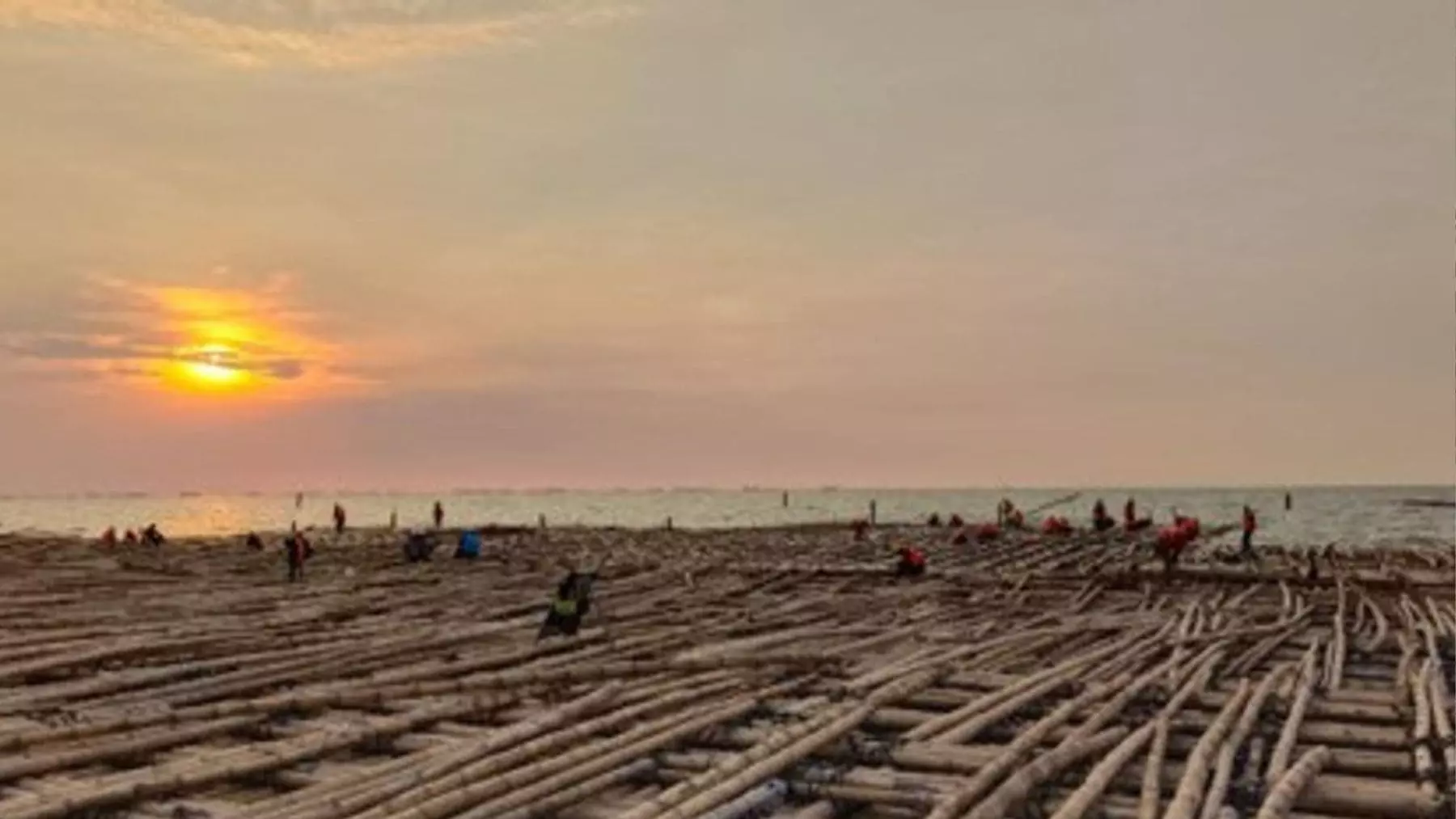 Innovadora Autopista Marítima en Indonesia: El Bambú Como Solución Ingenieril Contra Inundaciones