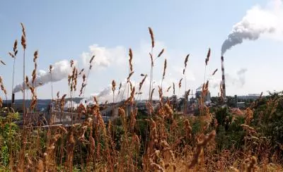 Invertir en la restauración y conservación de la naturaleza es crucial para la economía, según expertos